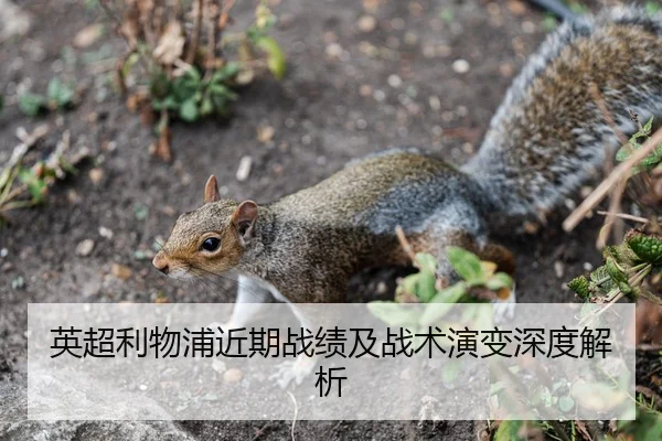 英超利物浦近期战绩及战术演变深度解析